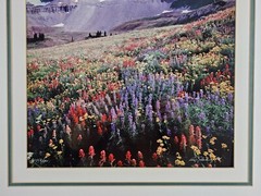Signed Limited Edition Aaron Goldenberg 35mm Art Photograph, Utah 39×24 Framed