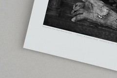 Fine Art B+W Photography Signed Ltd Edition SURREAL Gothic Hand Composition