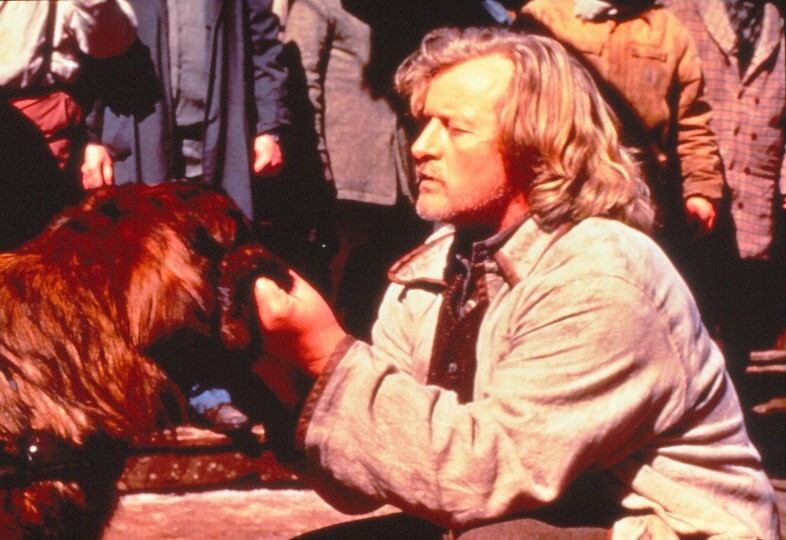 Film slide call of the wilderness Rutger Hauer movie slide KB format L24-14-1-4