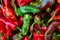 Red & Green Peppers, 11 x 14 Print Metallic Paper
