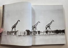 PETER BEARD SIGNED The End of the Game 1977