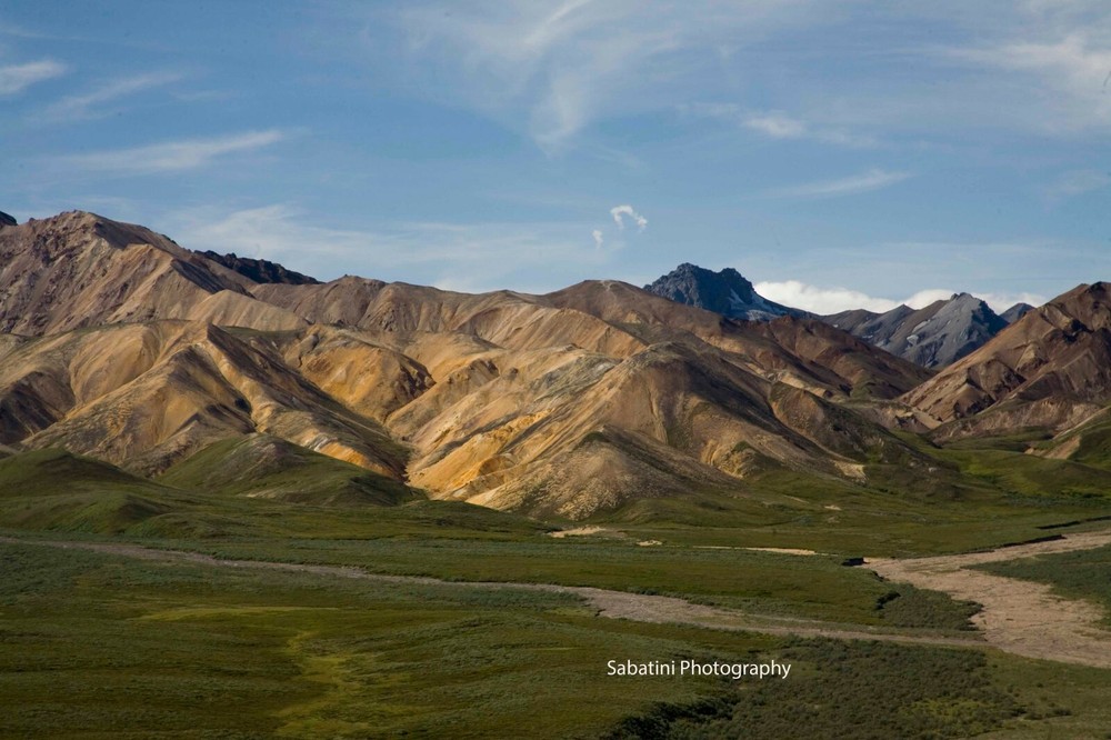 Denali National Park Polychrome Overlook 11 x 14 Print on Metallic Paper