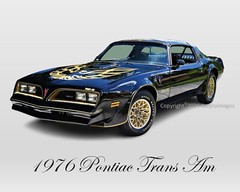 1976 Pontiac Trans Am Black Creator Authorized limited addition 8″X10″ Photo
