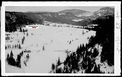 Plate Glass Photo Antique, Negative Black & White 3 1/2×5 1/2in, Morez ,MTB
