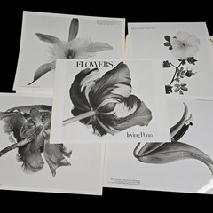 Irving Penn Flowers Press Release With Photos