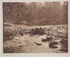 Original 1923 EDWARD CURTIS Hupa Trout Trap NATIVE AMERICAN FISHING Photogravure