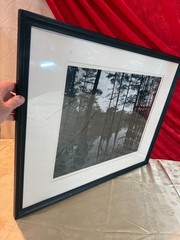 DAVID H GIBSON Photography EARLY Signed Photo CADDO LAKE 1974 ~ LARGE 19″ by 15″