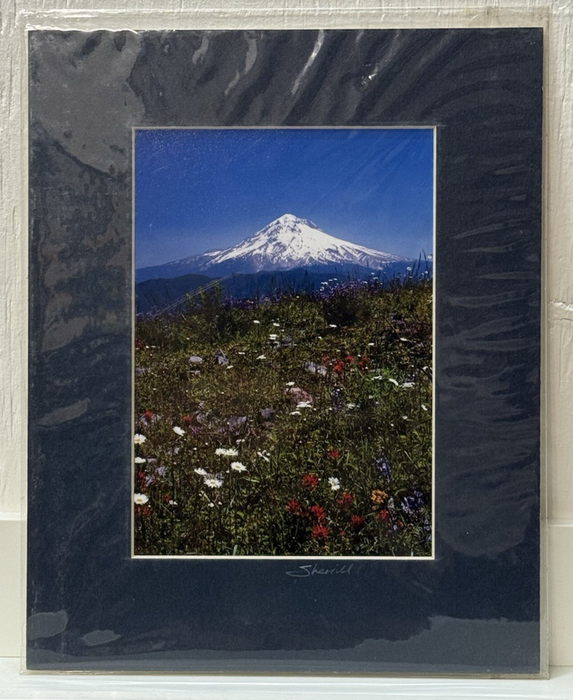 Sherrill SIGNED Matted Photo 8×10 Mt Hood & Wildflowers Meadow Oregon Vertical
