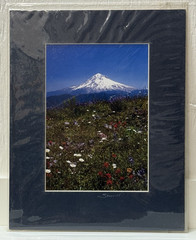 Sherrill SIGNED Matted Photo 8×10 Mt Hood & Wildflowers Meadow Oregon Vertical