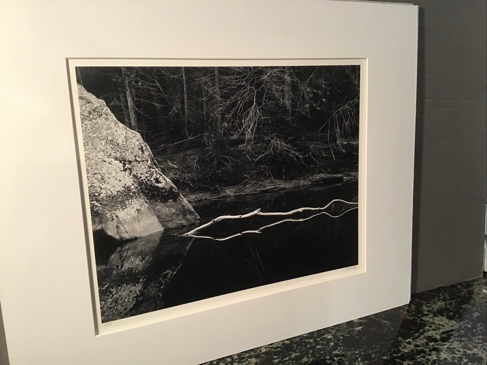 John Sexton signed photograph-White Branch, Yosemite 10×13 on 16×20 mat