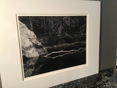 John Sexton signed photograph-White Branch, Yosemite 10×13 on 16×20 mat