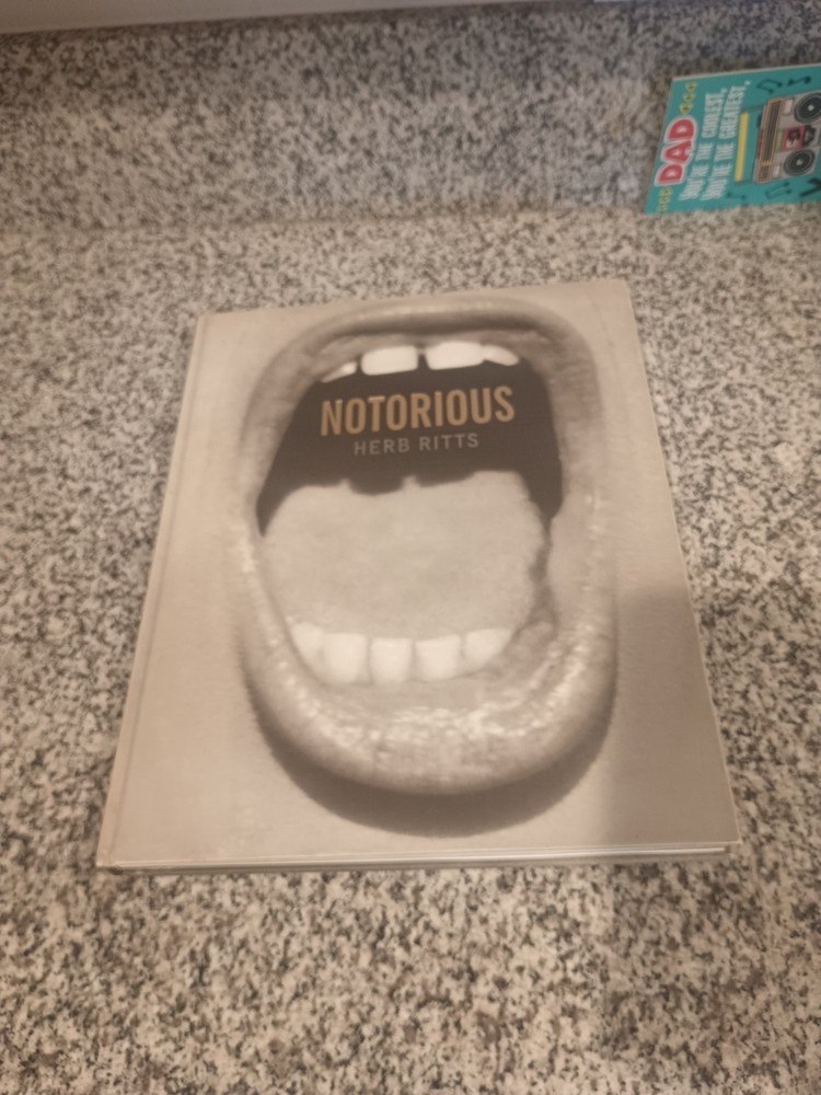 NOTORIOUS Herb Ritts Photo book Photography bulfinch press 1992 W300×H390mm Used