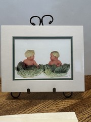 VTG Anne Geddes Baby Lot Of 6 8″X 10″ Picture In Matte 1993, 1995, 1996