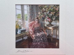 The Pink Chair by Michael Brown Lenticular 3-D Picture Framed Artwork Framed Art