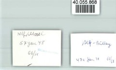 40055868 – 5584 Bullay Ortsansicht