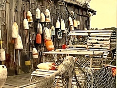 Nautical Maritime Hanging Lobster Trap Buoys Colorful Seascape Photograph 16X20
