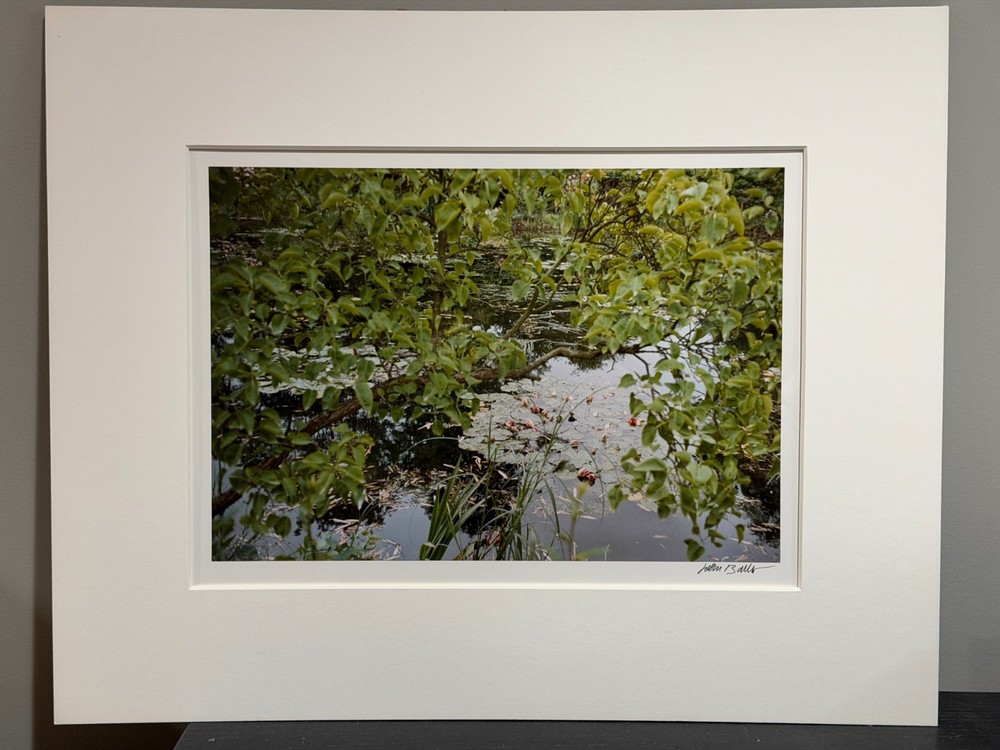 John Batho, C Print, Giverny, L’Etang, Lilas at Nympheas, 1983 Edition 2/15