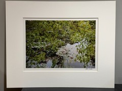 John Batho, C Print, Giverny, L’Etang, Lilas at Nympheas, 1983 Edition 2/15