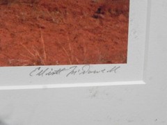 Elliott McDowell b1948 contemporary American art photography Southwest image