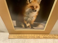 SIGNED 11×14 MATTED RED FOX ON THE SNOW WILDLIFE PHOTO