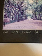 Original Signed Photograph Poets’ Walk Central Park NYC Vintage Photo Art