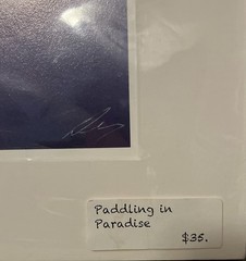 Wall Art Artist Signed Limited Edition # 13 Of 20 “Paddling In Paradise” 16 x 12