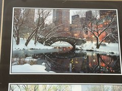 Central Park NYC Bow Bridge “Four Seasons” Framed Photos Signed- 10x 21″