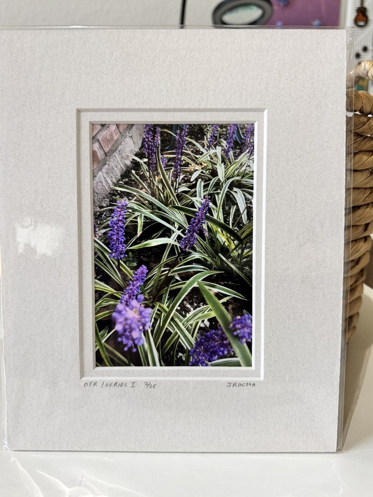 Original Photography 5X7 Picture Double Matted For 8X10 Frame