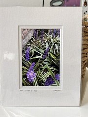 Original Photography 5X7 Picture Double Matted For 8X10 Frame