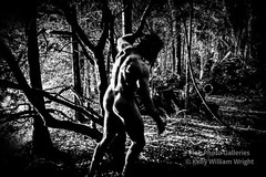 Original Male Nude KELLY WILLIAM WRIGHT Muscle Men JUNGLE WORK #4 – 17×25 Photo