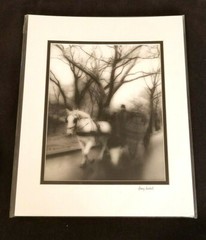 Garry Seidel Signed Photograph «Horse and Carriage» Gelatin Process 11″ x 14″