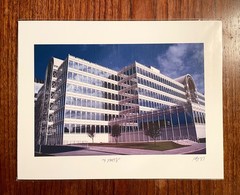 Original photographic print «3 Trees» by Michael Blumenstock