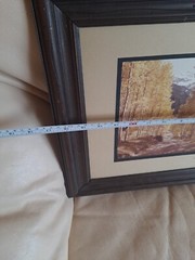 Vintage Framed Colorado Trail ART Photography by Colorado Artist Art Gore Signed