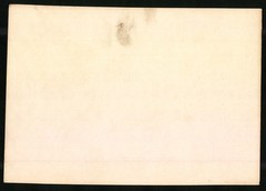 Photograph German South West Africa / Namibia, shoreline on the Okawango