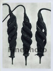 1929 Original Vintage KARL BLOSSFELDT Botanical Plant Flower Abstract Photo Art