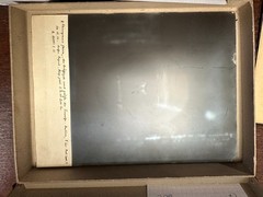 2 x Study Chimpanzee Head on Glass Plate, Photo TE1204