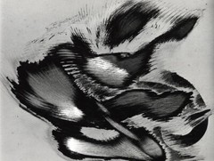 Mint & Signed Brett Weston Print – ‘Abrasions’ -1977