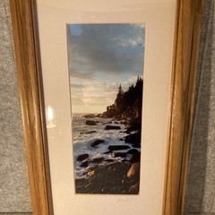 Sunrise Otter Cliffs Acadia Nation Park Photograph By Alan Hoelzle