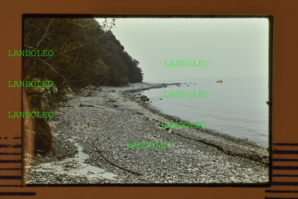 Slide 1971 Juliusruh Rügen panoramic sea beach trees