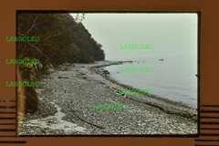 Slide 1971 Juliusruh Rügen panoramic sea beach trees