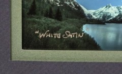 White Satin Todd Salat Framed And Signed Photograph Print