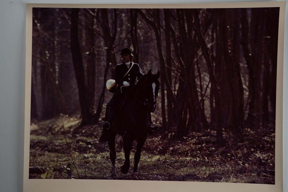 Vintage Analog Photo France Hunting Foxhunting Horse 24X30Cm 1970