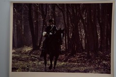 Vintage Analog Photo France Hunting Foxhunting Horse 24X30Cm 1970