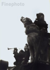 1965/80 Original TIBOR HONTY Czech Silver Gelatin Photograph Circus Monkey Dog