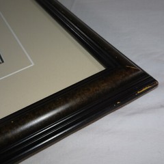 THOMAS MANGELSEN SIGNED 1994 SECRETS OF THE SAVANNAH LE 118/950 10X14 IMAGE FRM