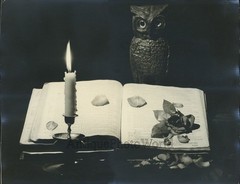 Candle by book owl rose petals antique art photo