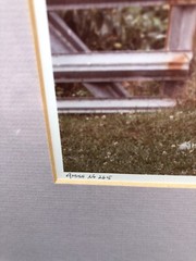 Bill Coleman Amish No 265 «Little Mothers» Framed Photograph Signed 9″ x 6.75″