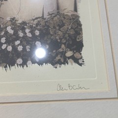 Alan Blaustein European Garden Sepia Set of 3 Framed Landscape Photographs