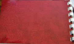 ANDY WARHOL POLAROID PHOTO ALBUM JOHN JOHN, CAROLINE KENNEDY PUBLISHER’S REPLICA