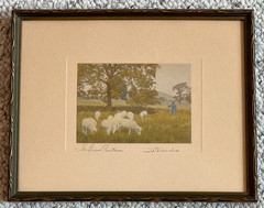 Rare David Davidson Hand Colored Photo «In Green Pastures» Sheep & Shepherd